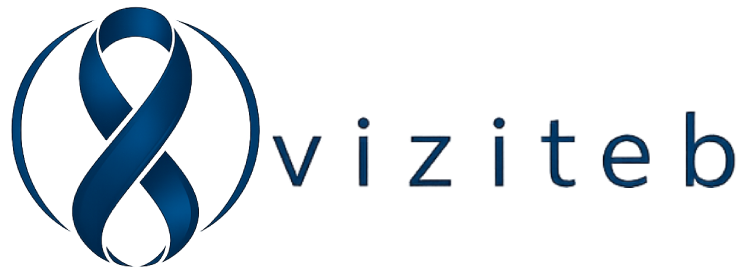 ویزیتب